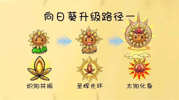 植物升级路线攻略4
