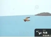 隐藏成就怎么完成截图9