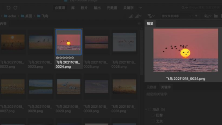 使用方法10