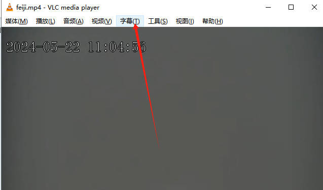 播放视频4