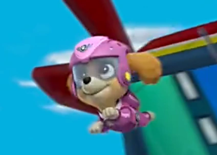 6