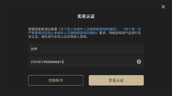 游戏攻略截图1