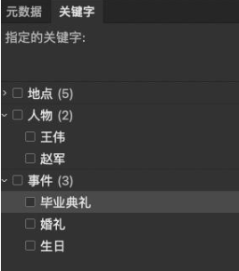面板使用2