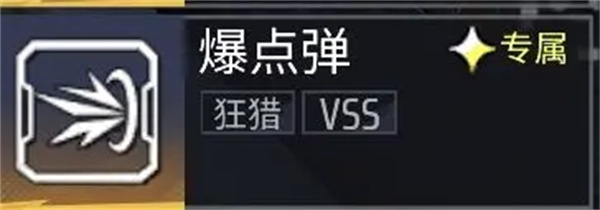 VSS的爆点弹截图