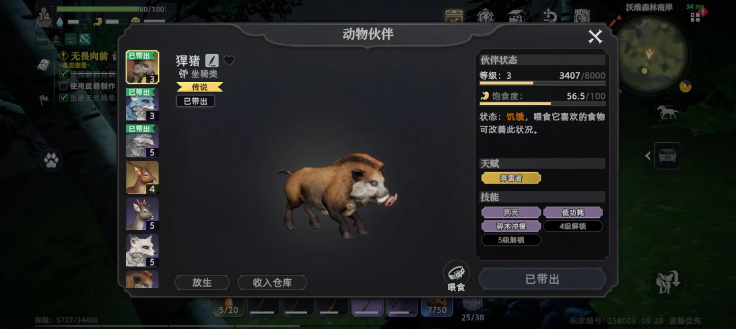 新手入门指南