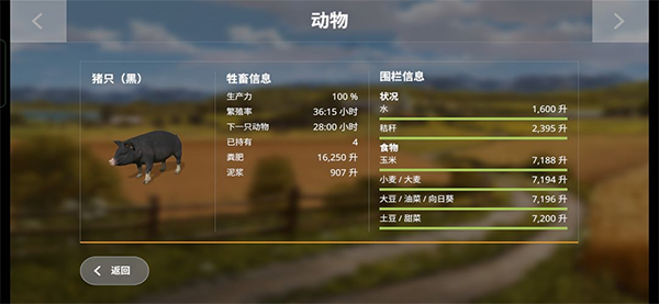 攻略大全截图2