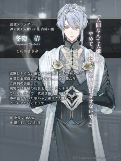 冬澄椿