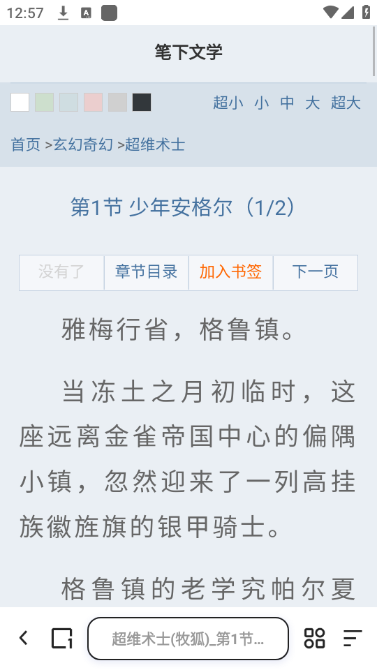 怎么进入小说模式截图3