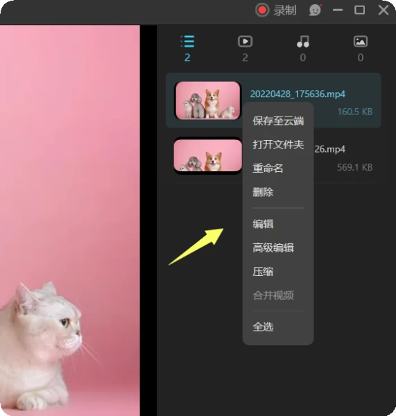 视频列表说明3