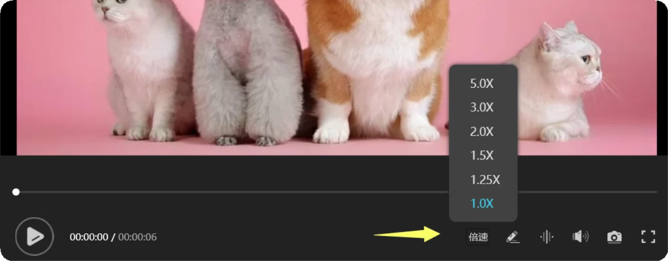 视频列表说明4