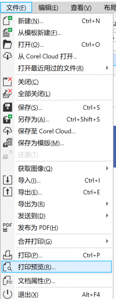 印刷设置5