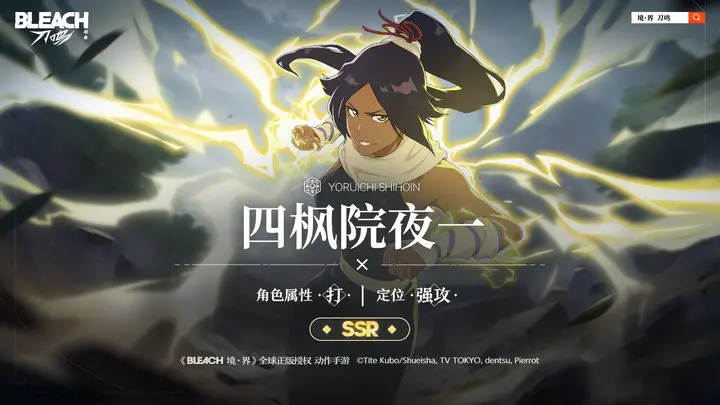 四枫院夜一截图