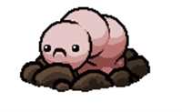 Pin（针虫）