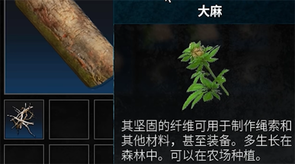 绳子怎么弄2