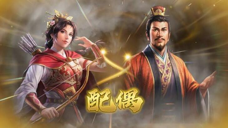 结婚与生孩子条件截图