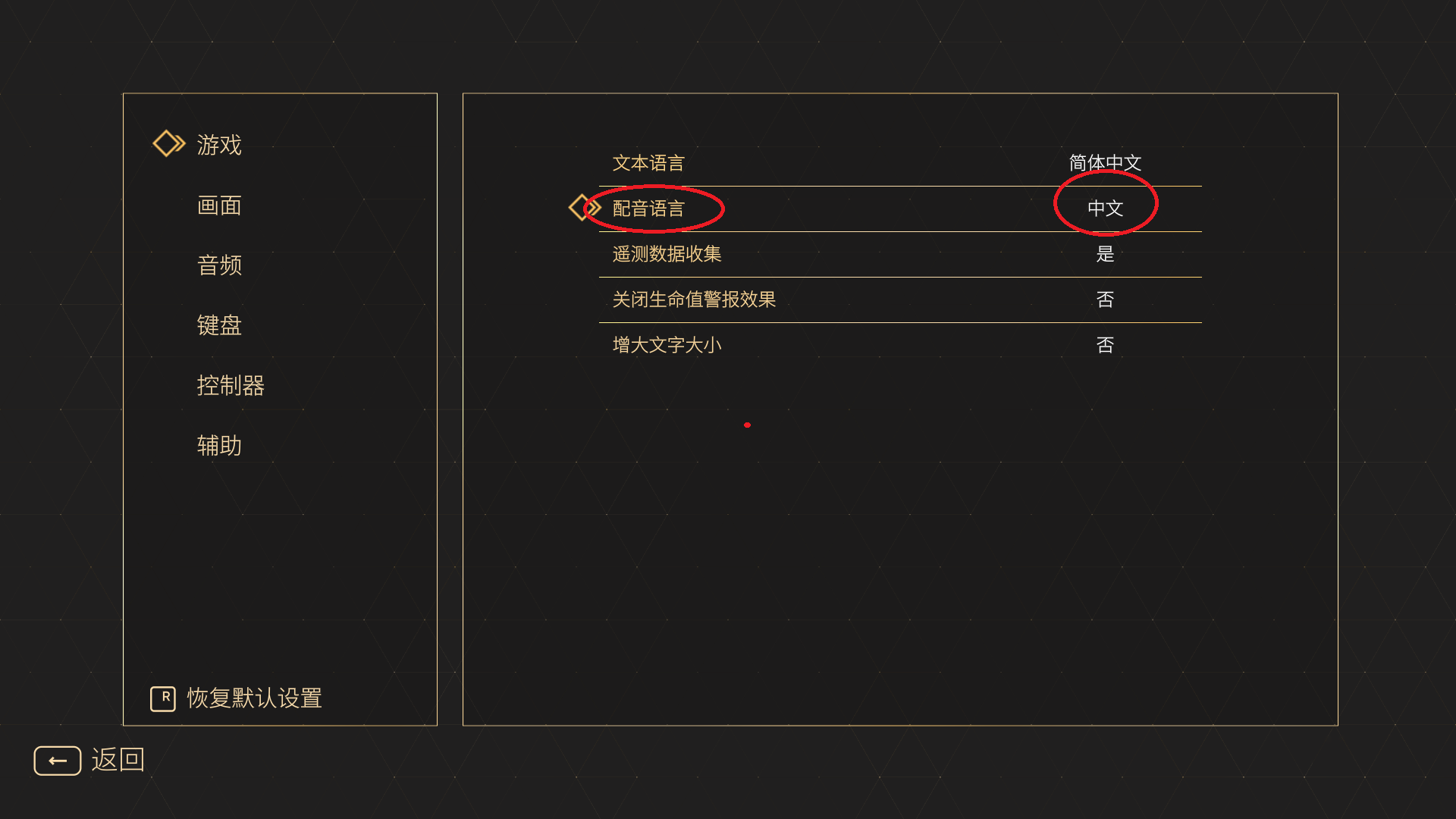 怎么设置中文截图3