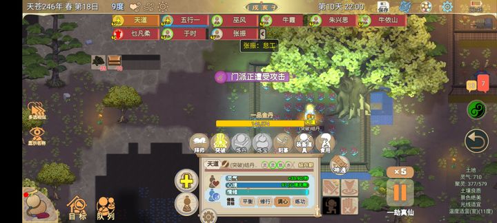 七天一品金丹方法