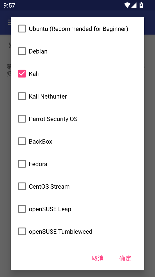 安装kali系统教程截图4