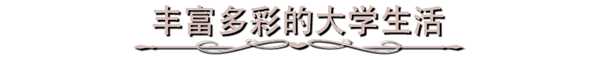 游戏亮点截图5