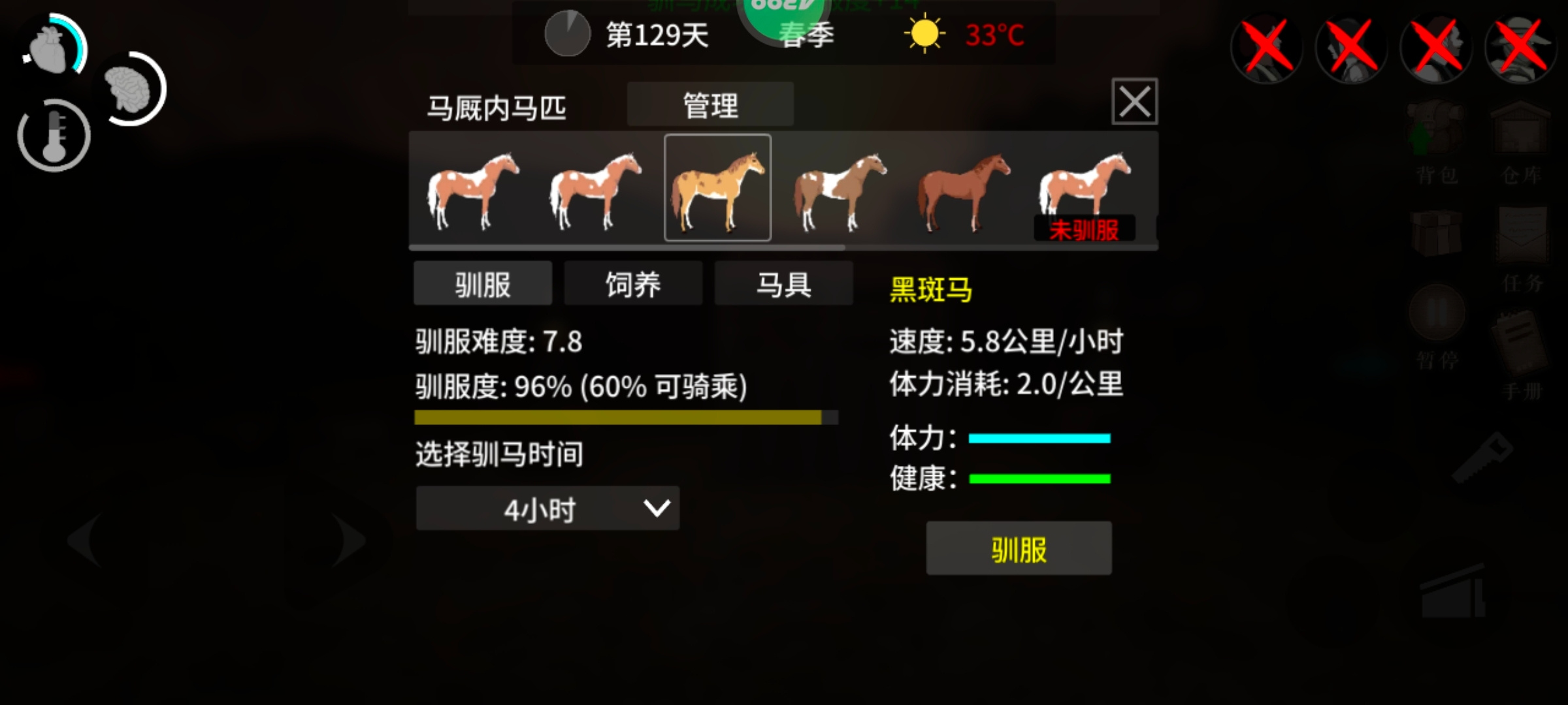 黑斑马