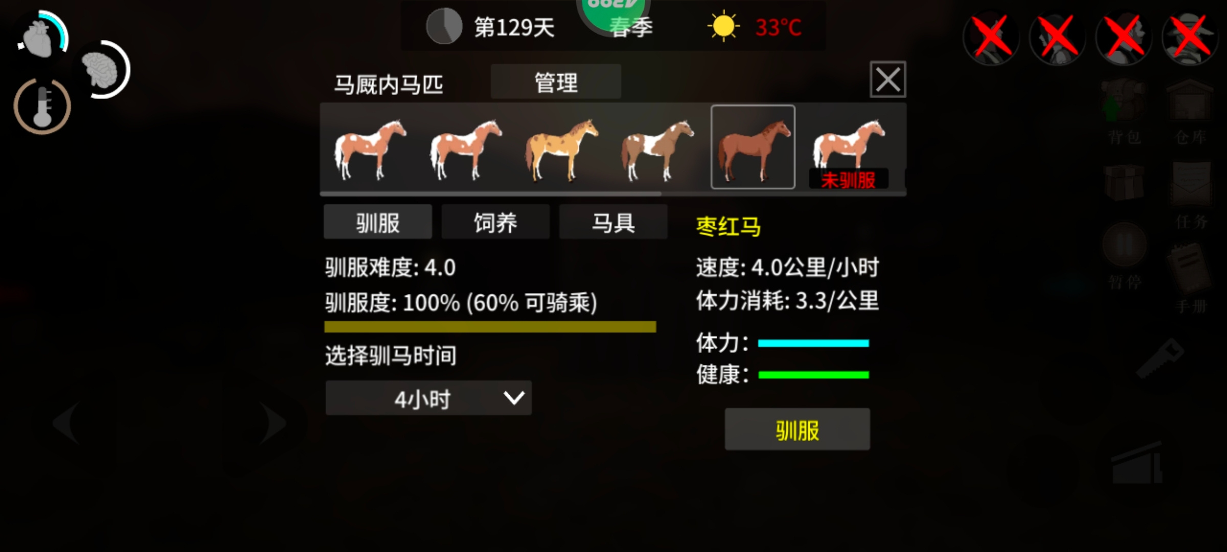 枣红马