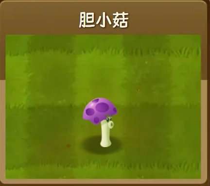 胆小菇