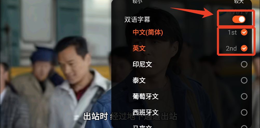 怎么设置双语字幕截图2