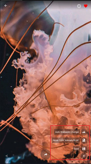 使用方法3