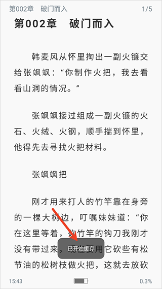 缓存小说4