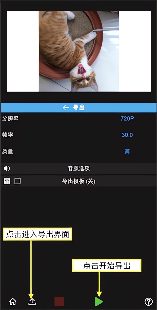 怎么导出视频截图4