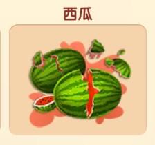 西瓜
