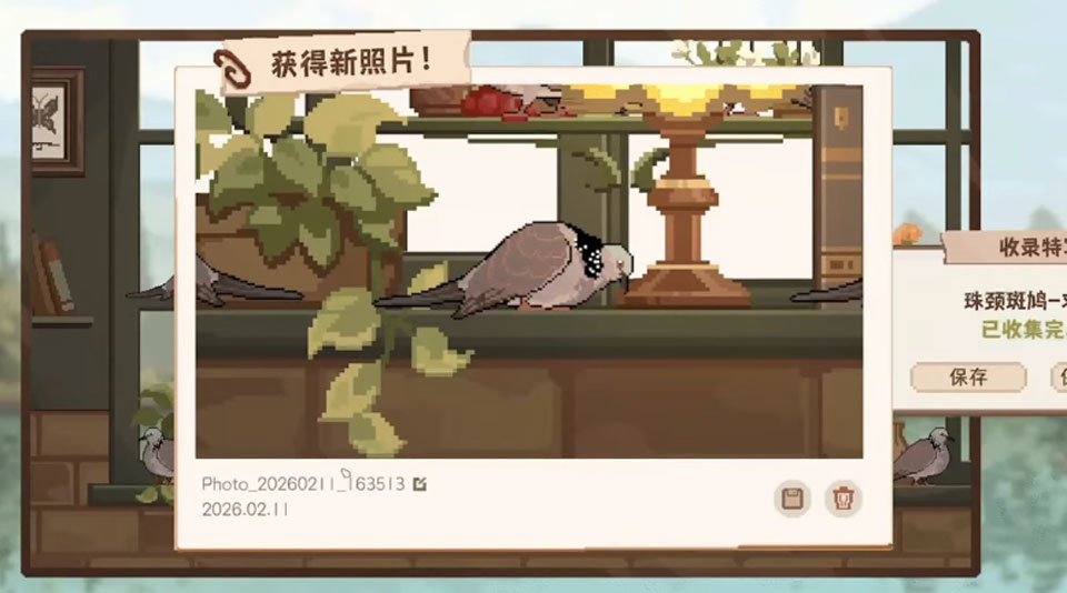 玩法介绍截图4