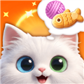猫舍时光