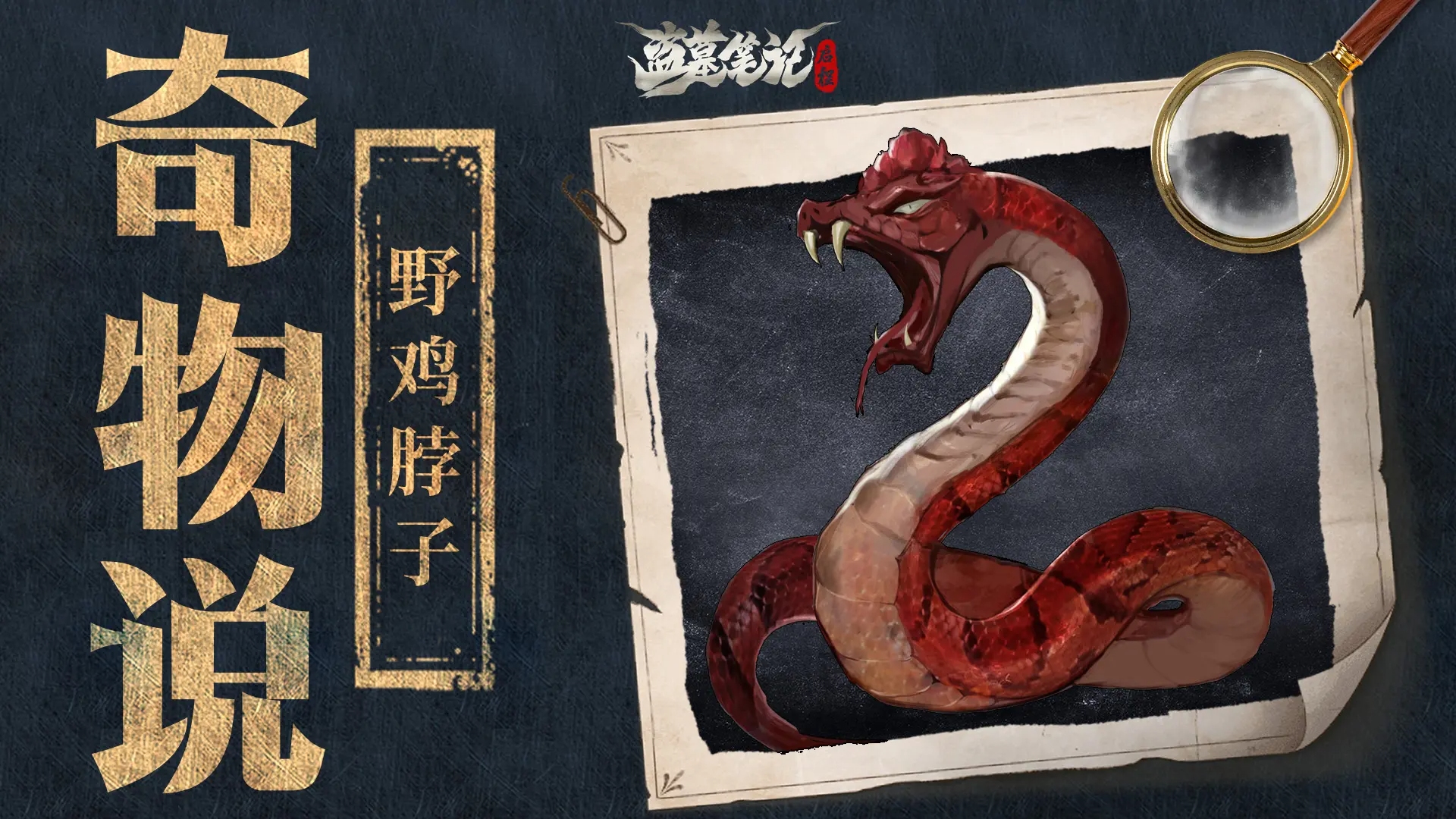 奇物介绍3