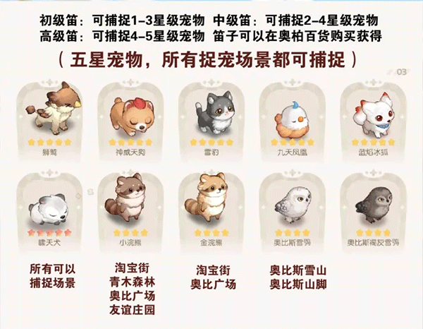 常见问题5