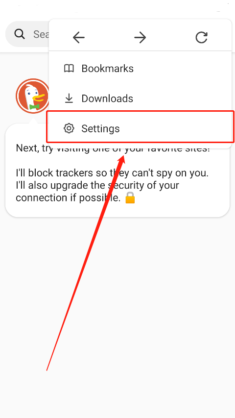 DuckDuckGo浏览器汉化最新版设置语言教程1