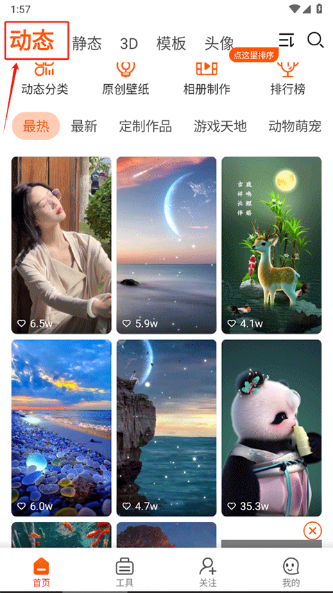 怎么设置动态壁纸截图1