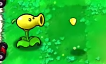 植物介绍2