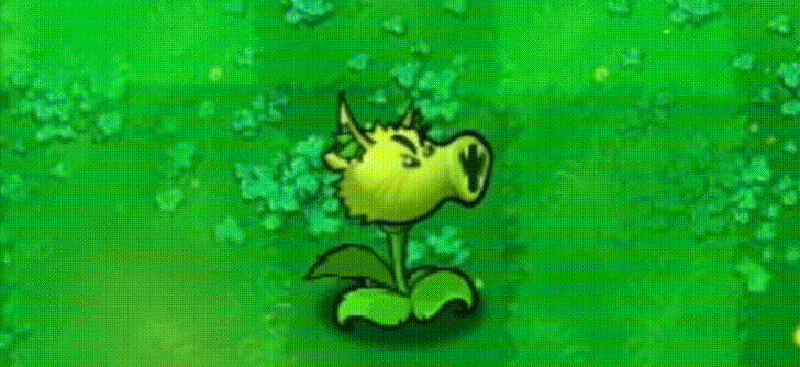 新植物介绍1