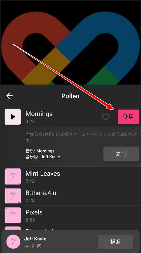 怎么导入音乐截图11