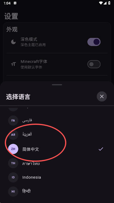 怎么设置中文截图3