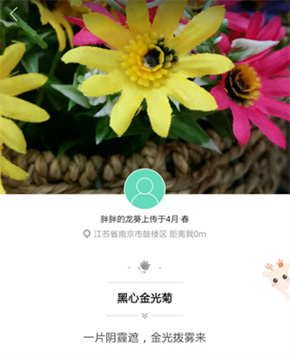 识别花草教程截图4