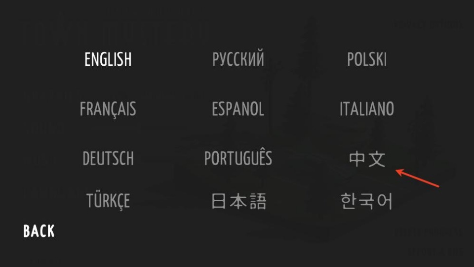 怎么设置中文3