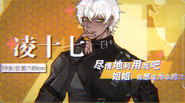 凌十七