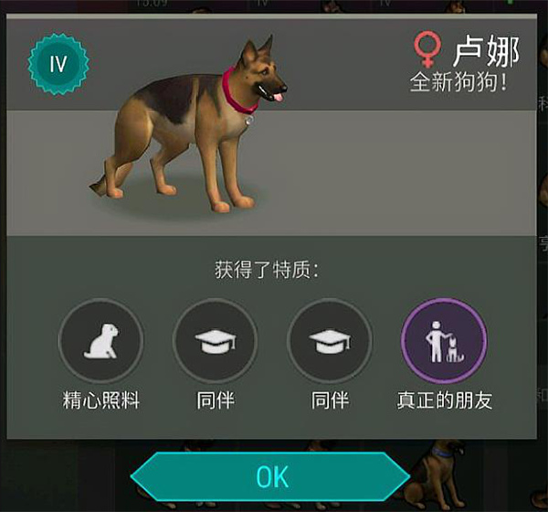带狗1