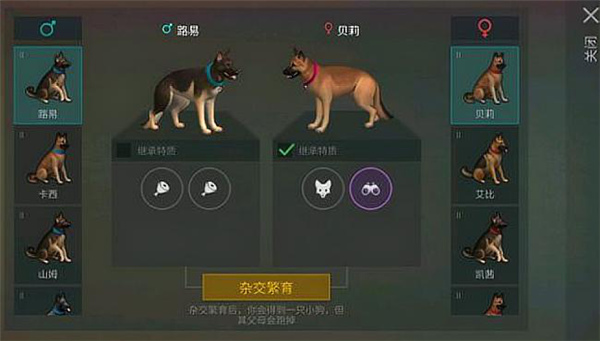 带狗3