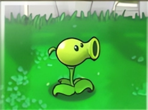 普通白天植物介绍1