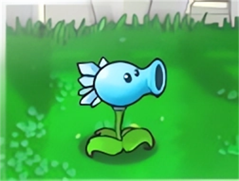 普通白天植物介绍5