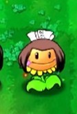 魔改植物1