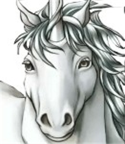 角色与招募条件全攻略截图19
